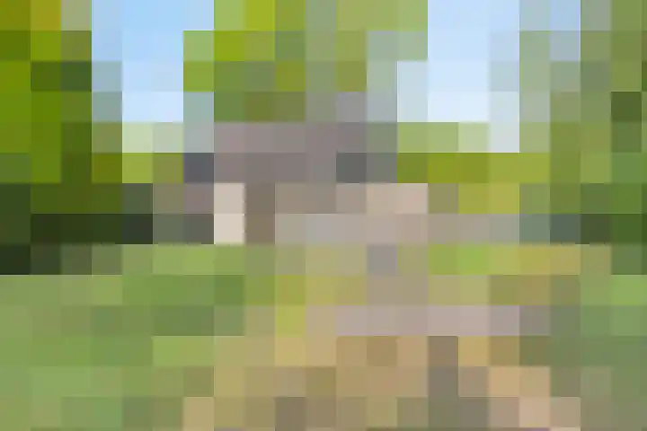 Houtvester Jansenweg 2 47 Gasselte thumbnail 5