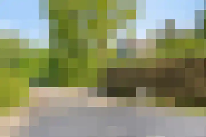 Houtvester Jansenweg 2 47 Gasselte thumbnail 8