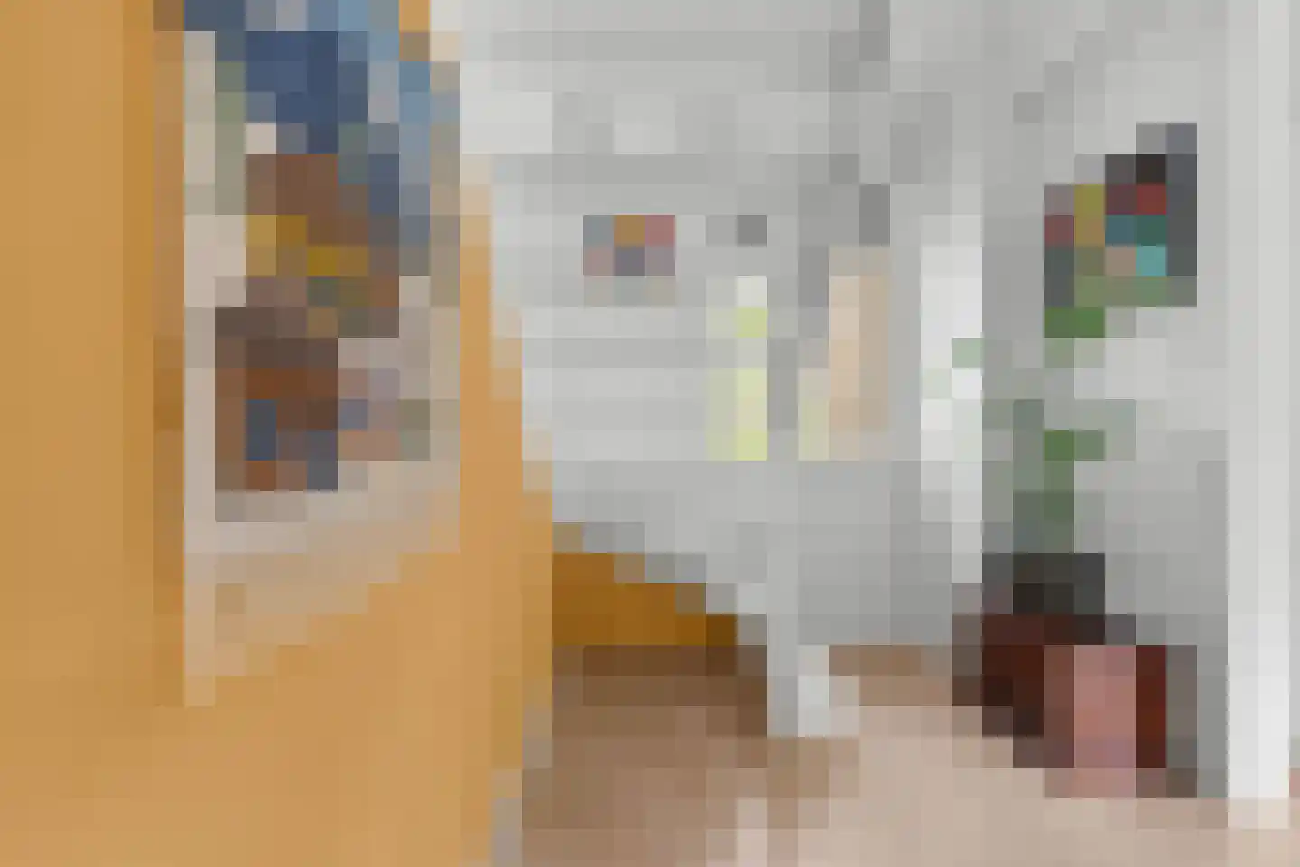 Houtvester Jansenweg 2 72 Gasselte thumbnail 11