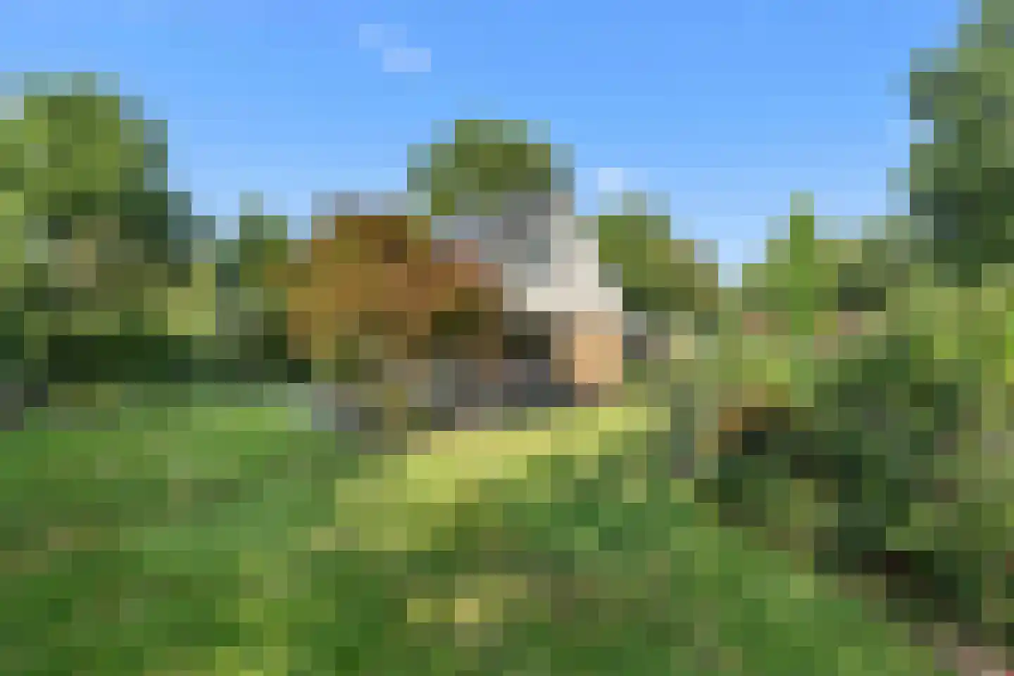 Houtvester Jansenweg 2 72 Gasselte thumbnail 18
