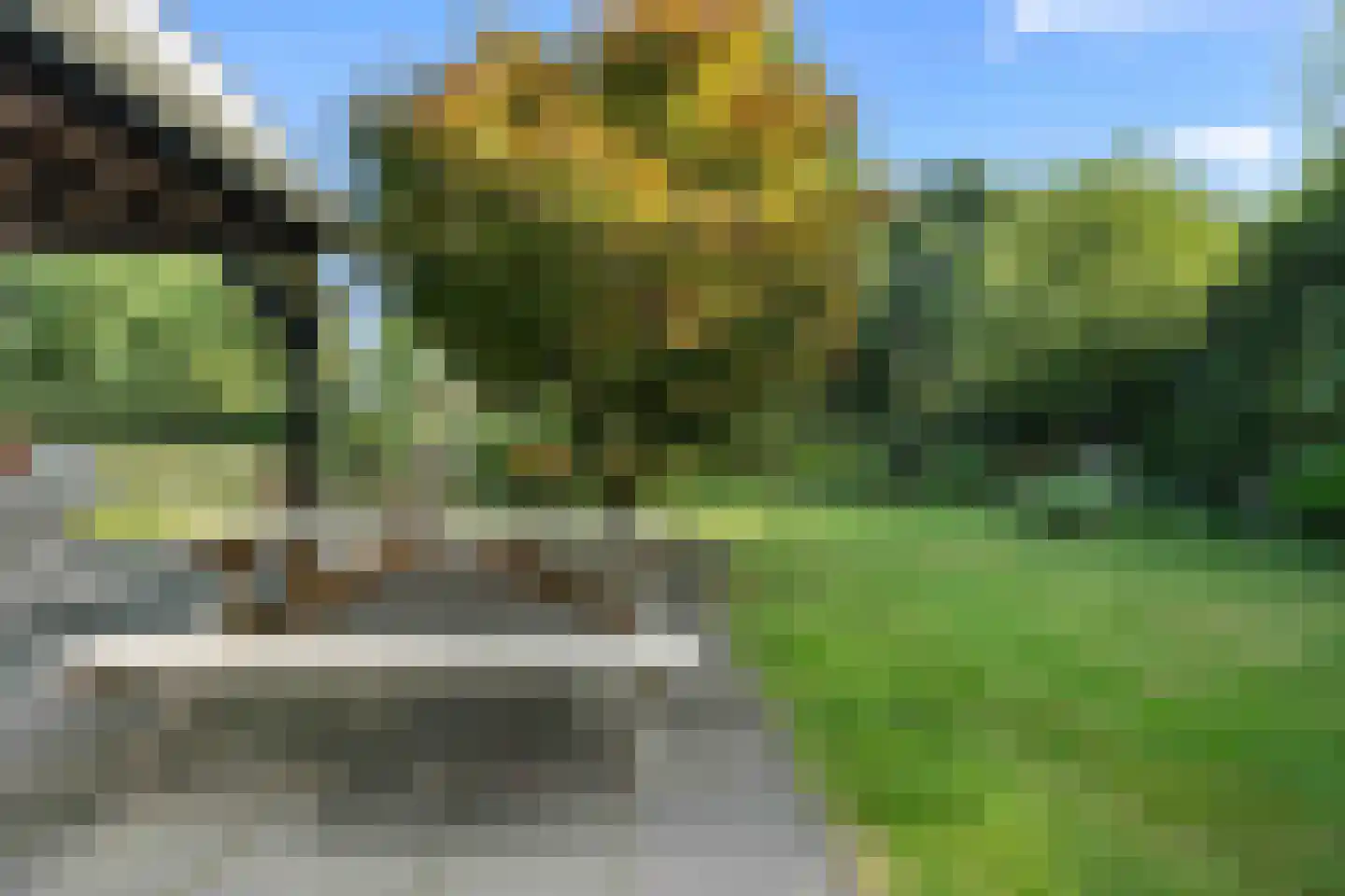 Houtvester Jansenweg 2 72 Gasselte thumbnail 20
