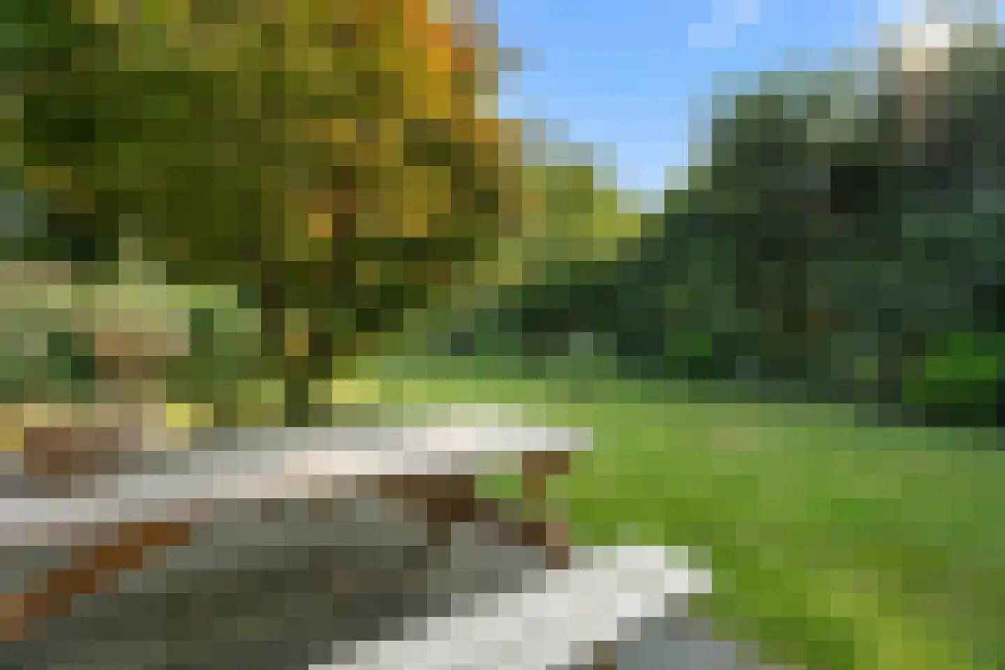 Houtvester Jansenweg 2 72 Gasselte thumbnail 21