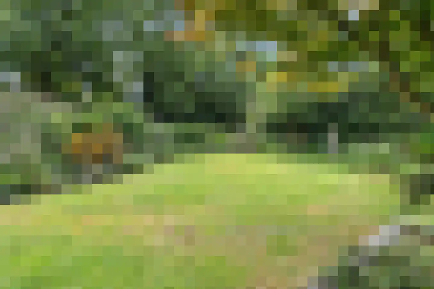 Houtvester Jansenweg 2 72 Gasselte thumbnail 22