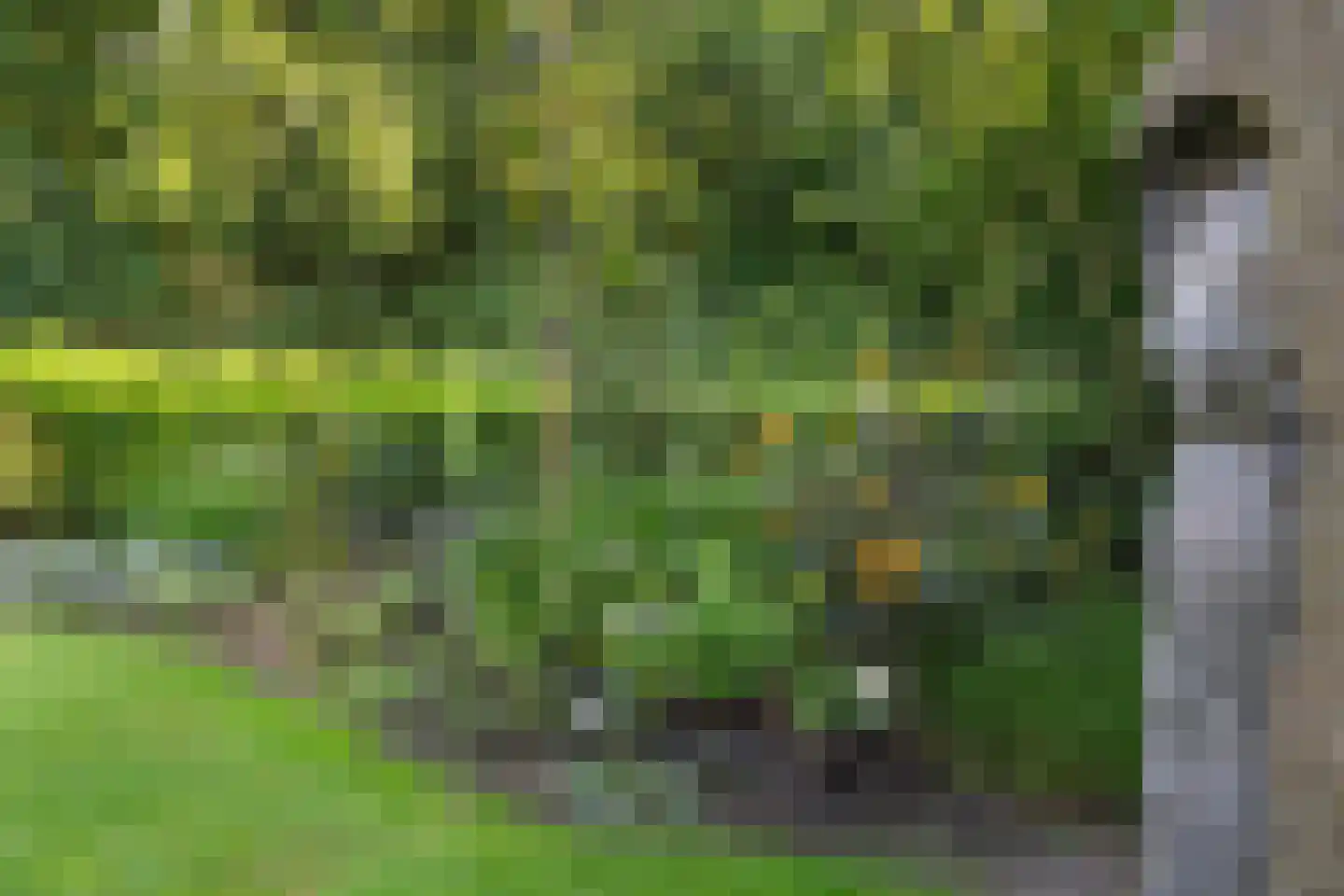 Houtvester Jansenweg 2 72 Gasselte thumbnail 23