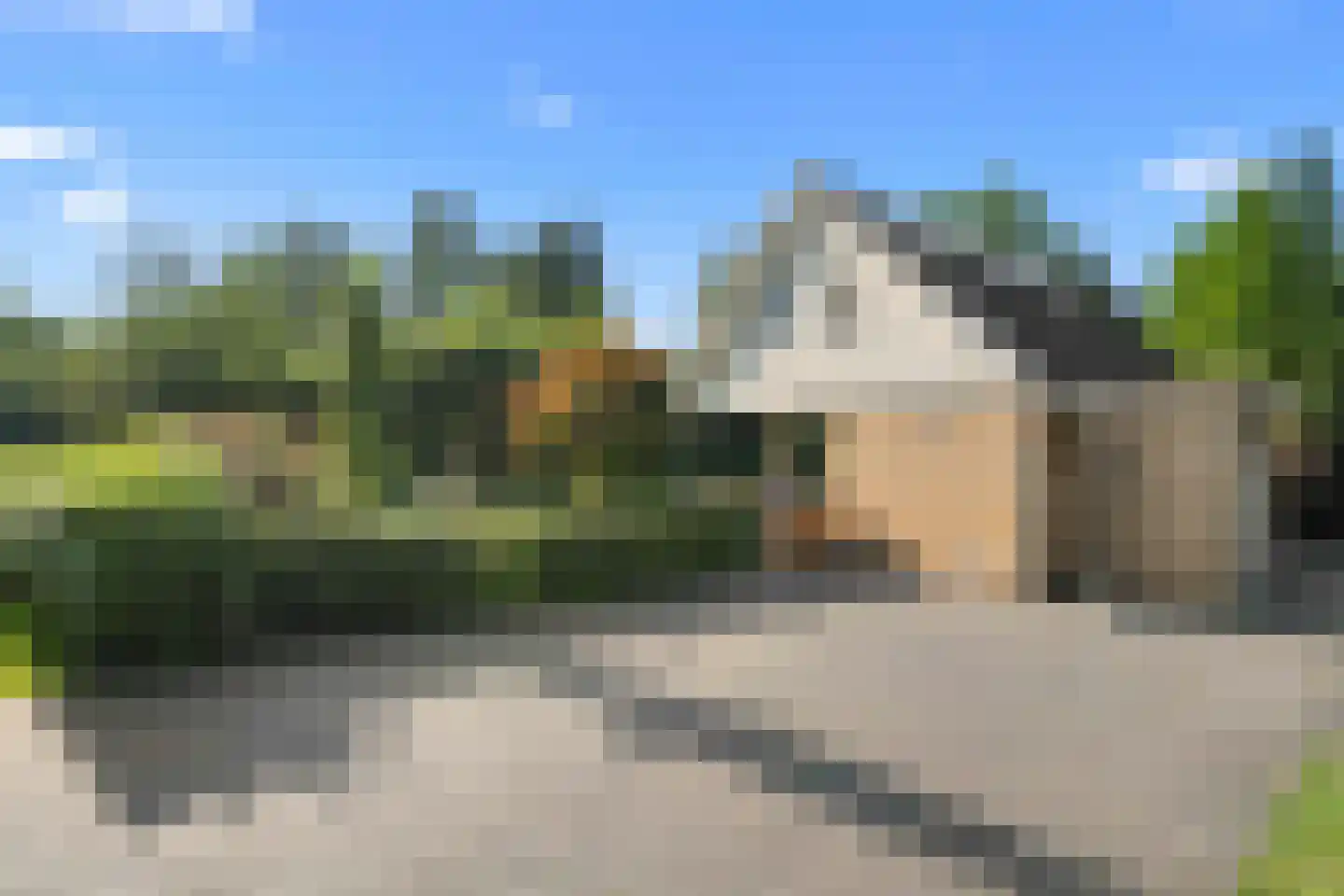 Houtvester Jansenweg 2 72 Gasselte thumbnail 25
