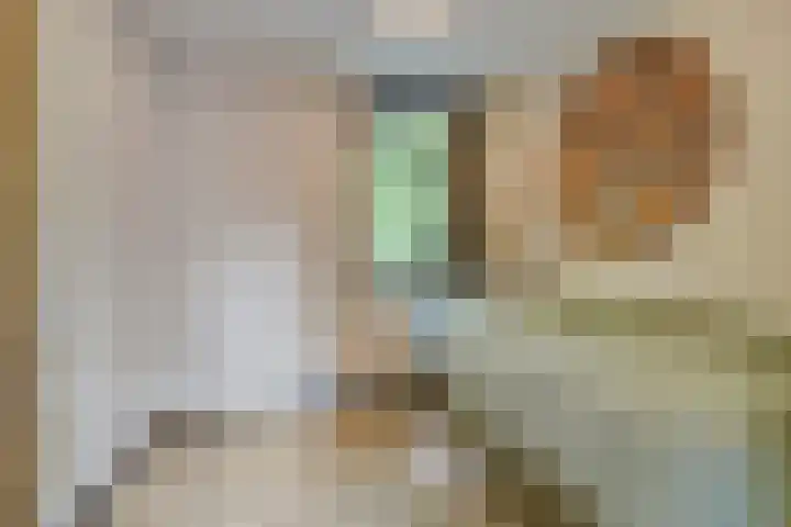 Houtvester Jansenweg 2 81 Gasselte thumbnail 17