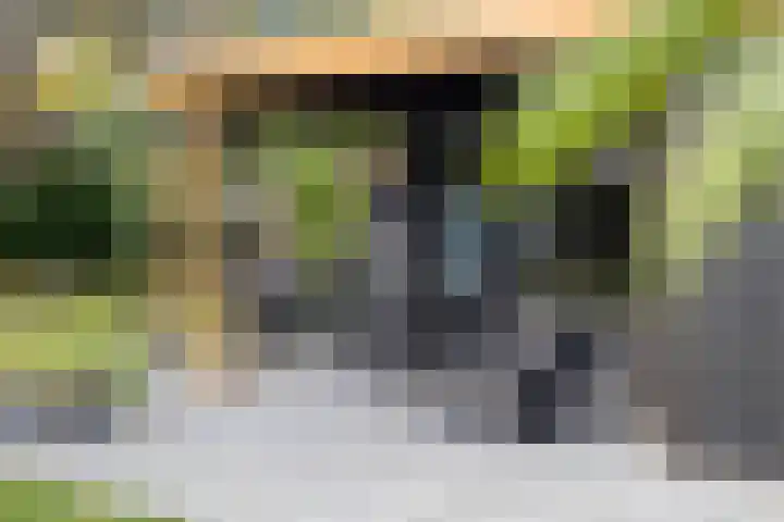 Houtvester Jansenweg 2 81 Gasselte thumbnail 22