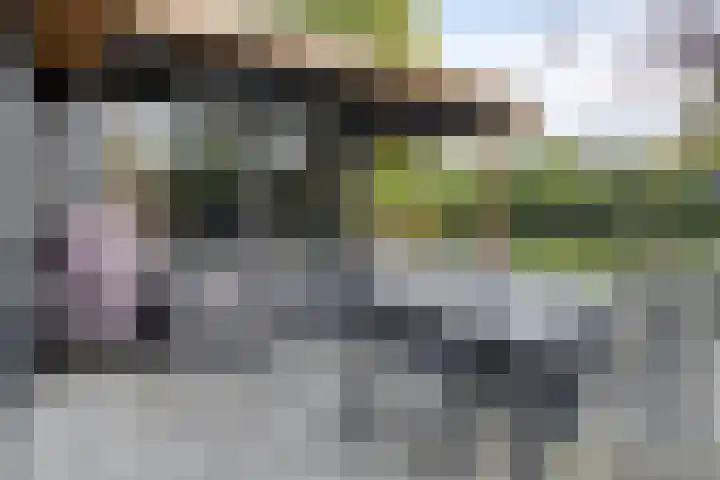 Houtvester Jansenweg 2 81 Gasselte thumbnail 26