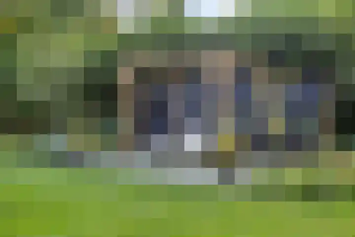 Houtvester Jansenweg 2 81 Gasselte thumbnail 27