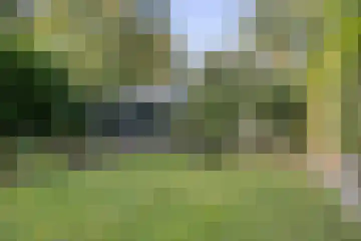 Houtvester Jansenweg 2 81 Gasselte thumbnail 28