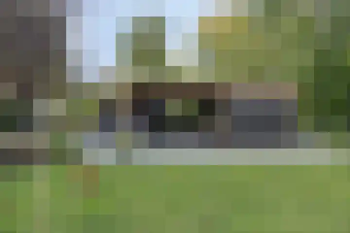Houtvester Jansenweg 2 81 Gasselte thumbnail 30