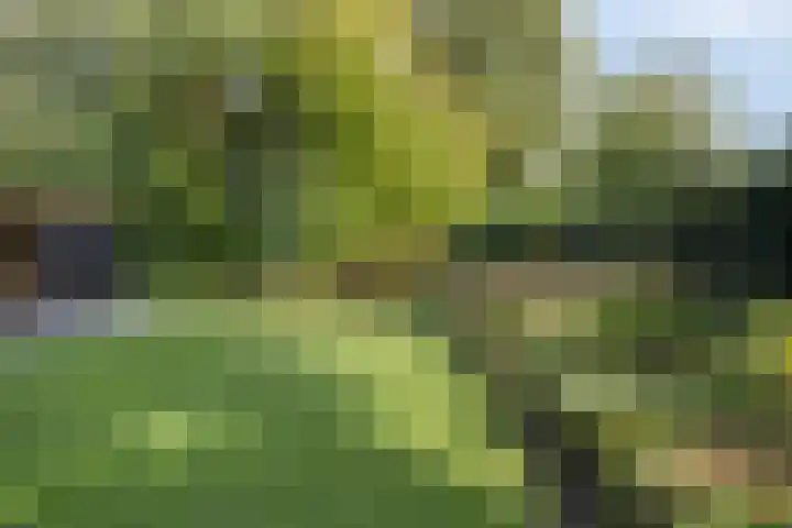 Houtvester Jansenweg 2 81 Gasselte thumbnail 31