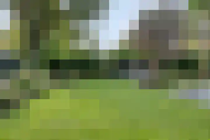 Houtvester Jansenweg 2 81 Gasselte thumbnail 32