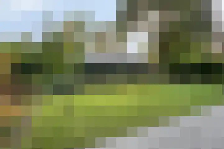 Houtvester Jansenweg 2 81 Gasselte thumbnail 33