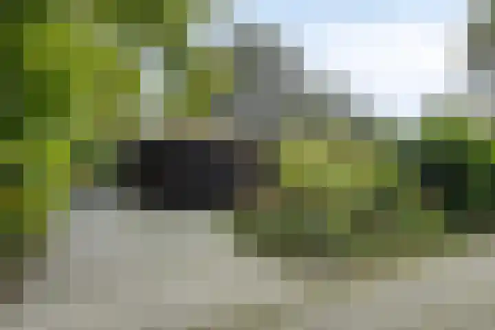 Houtvester Jansenweg 2 81 Gasselte thumbnail 34
