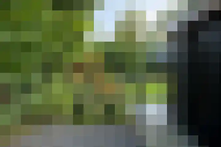 Houtvester Jansenweg 2 81 Gasselte thumbnail 35