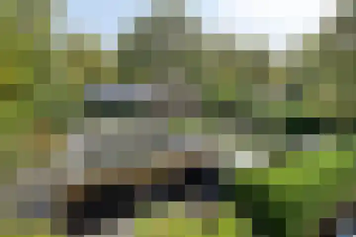 Houtvester Jansenweg 2 81 Gasselte thumbnail 36