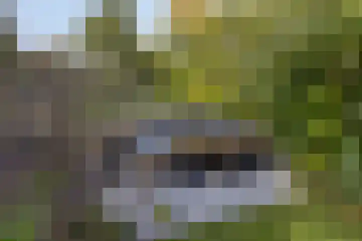Houtvester Jansenweg 2 81 Gasselte thumbnail 37