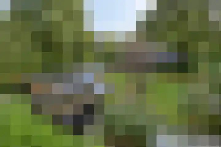 Houtvester Jansenweg 2 81 Gasselte thumbnail 39