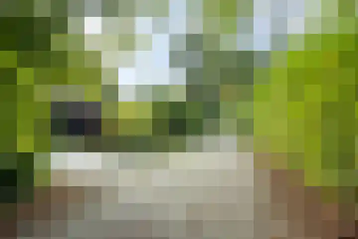 Houtvester Jansenweg 2 81 Gasselte thumbnail 40