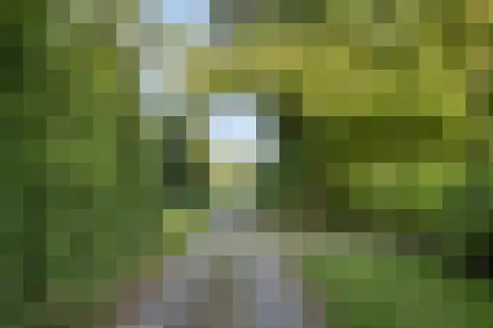 Houtvester Jansenweg 2 81 Gasselte thumbnail 41