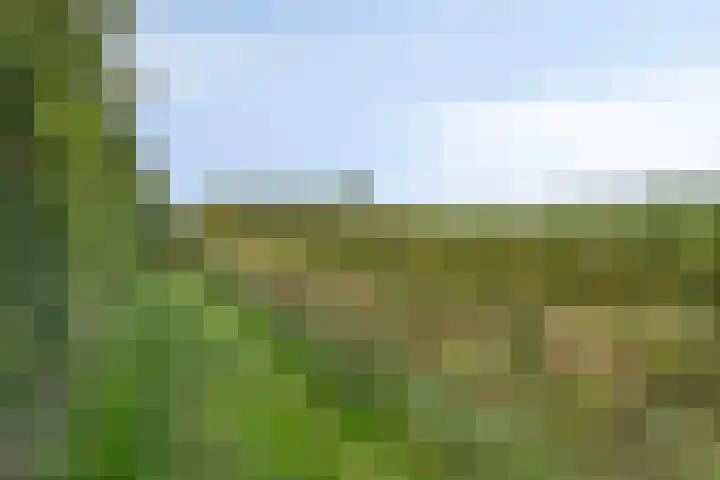 Houtvester Jansenweg 2 81 Gasselte thumbnail 42