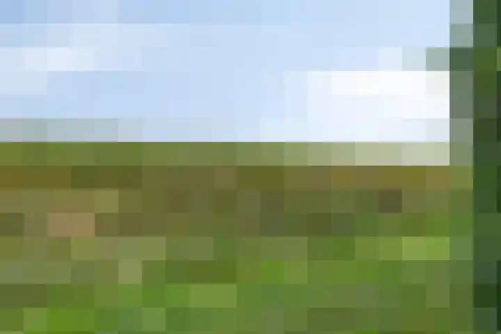 Houtvester Jansenweg 2 81 Gasselte thumbnail 43