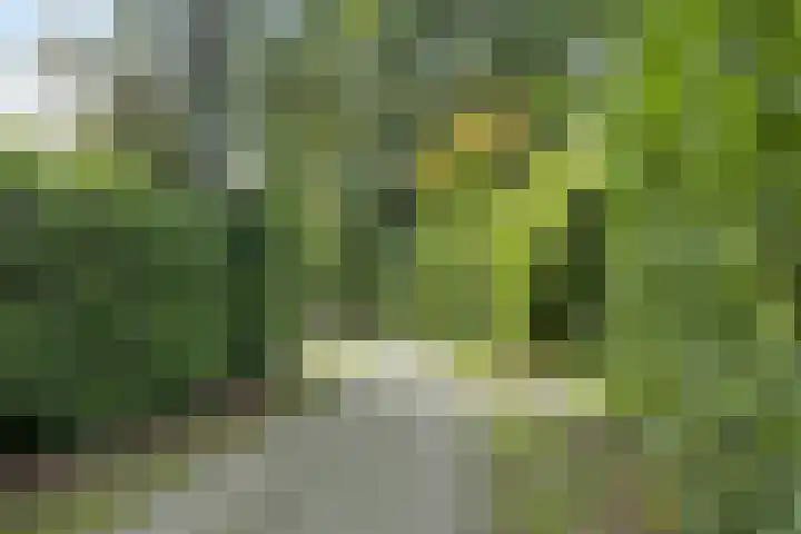 Houtvester Jansenweg 2 81 Gasselte thumbnail 44