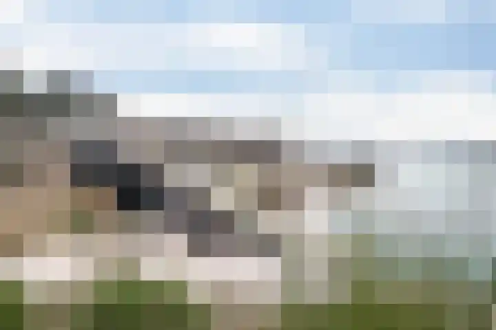 Houtvester Jansenweg 2 81 Gasselte thumbnail 49