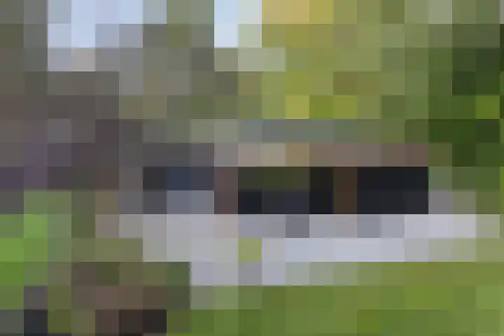 Houtvester Jansenweg 2 81 Gasselte thumbnail 7