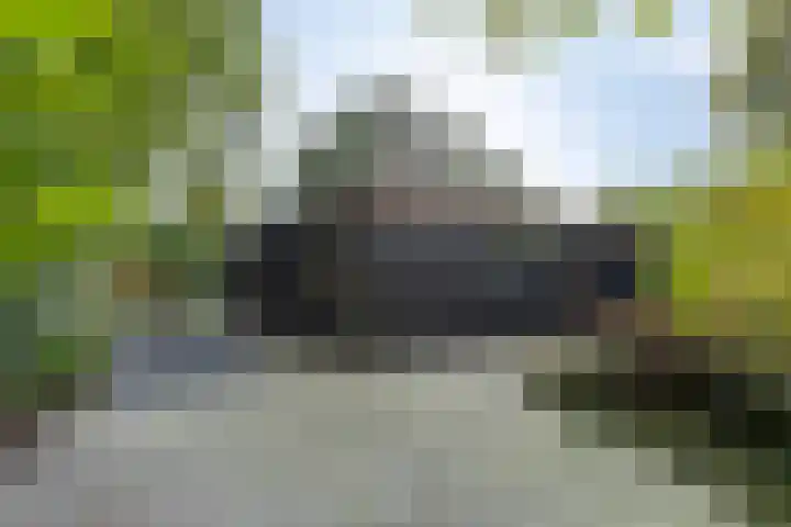 Houtvester Jansenweg 2 81 Gasselte thumbnail 8