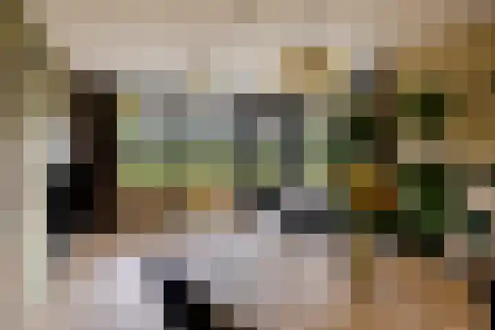 Houtvester Jansenweg 2 81 Gasselte thumbnail 9