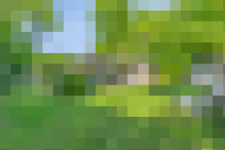 Houtvester Jansenweg 2 84 in Gasselte