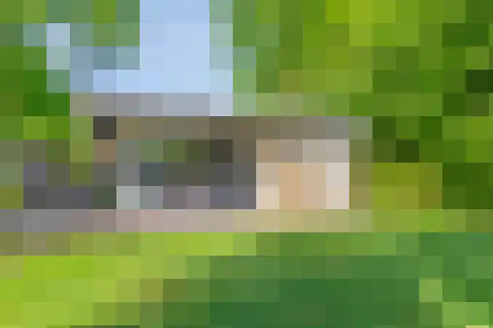 Houtvester Jansenweg 2 84 Gasselte thumbnail 14