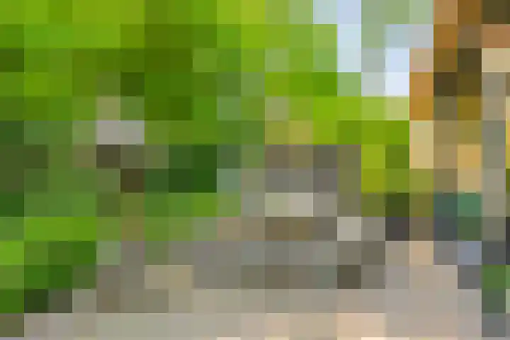 Houtvester Jansenweg 2 84 Gasselte thumbnail 16