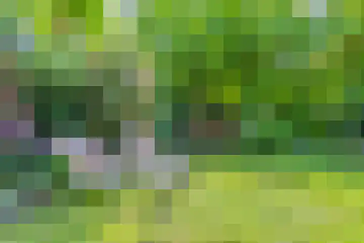 Houtvester Jansenweg 2 84 Gasselte thumbnail 19