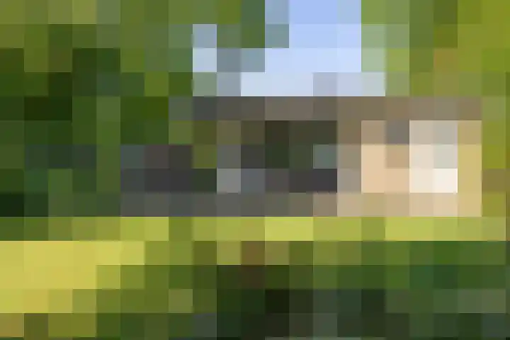 Houtvester Jansenweg 2 84 Gasselte thumbnail 20