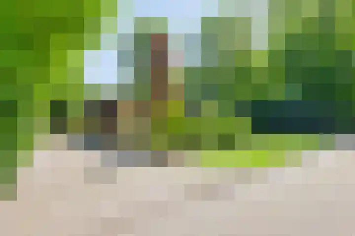 Houtvester Jansenweg 2 84 Gasselte thumbnail 21