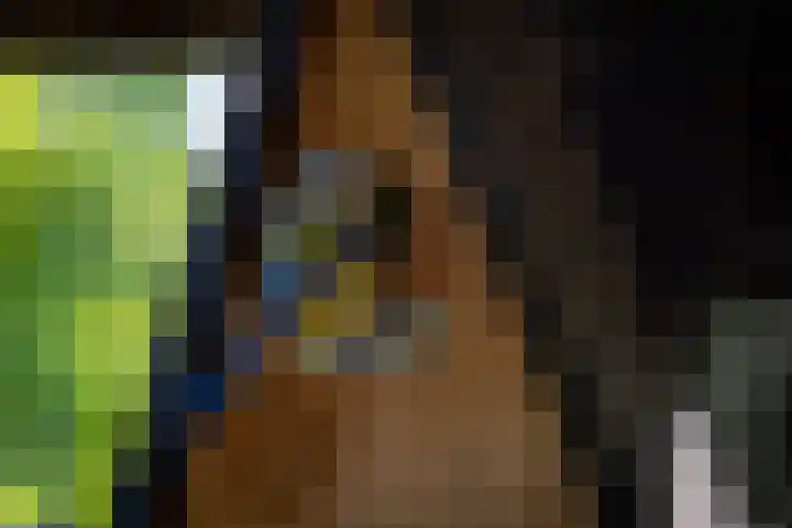 Houtvester Jansenweg 2 84 Gasselte thumbnail 22