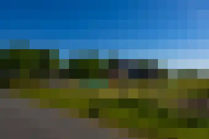 Houtvester Jansenweg 2 84 Gasselte thumbnail 23