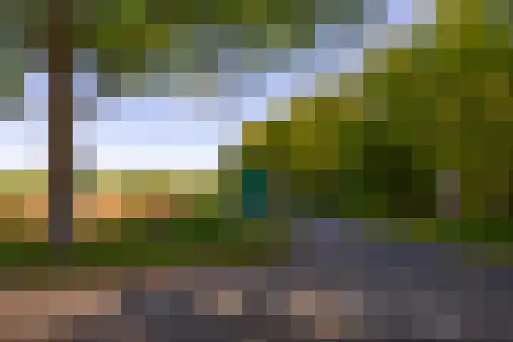 Houtvester Jansenweg 2 84 Gasselte thumbnail 24