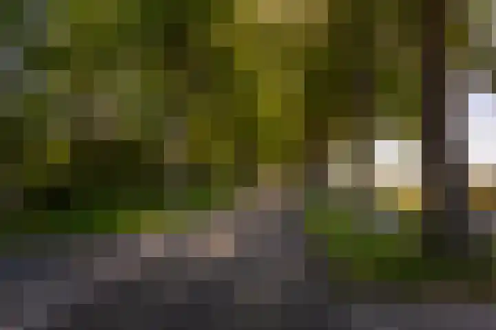 Houtvester Jansenweg 2 84 Gasselte thumbnail 25