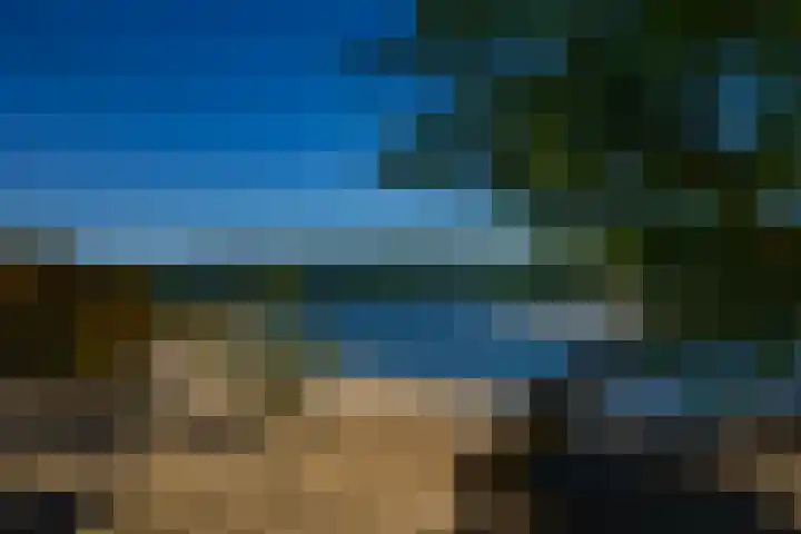 Houtvester Jansenweg 2 84 Gasselte thumbnail 27