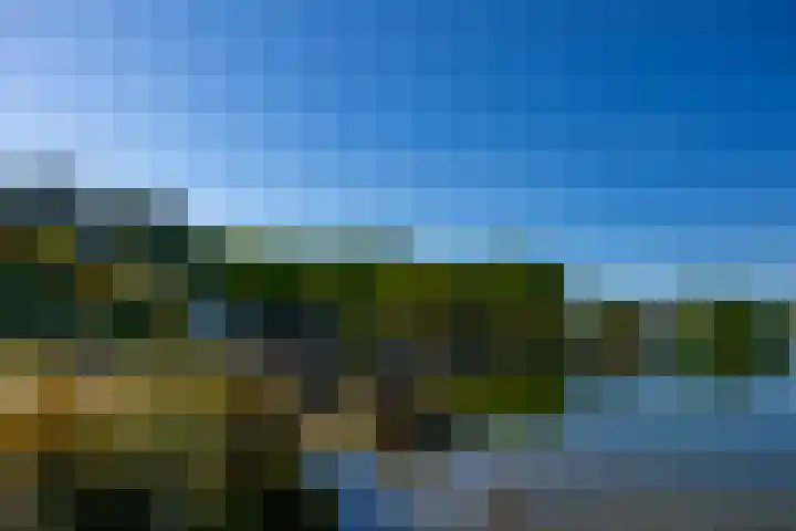 Houtvester Jansenweg 2 84 Gasselte thumbnail 29