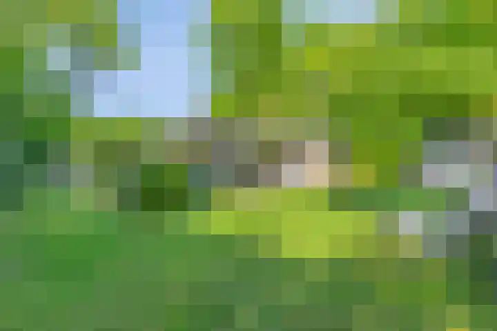Houtvester Jansenweg 2 84 Gasselte thumbnail 32