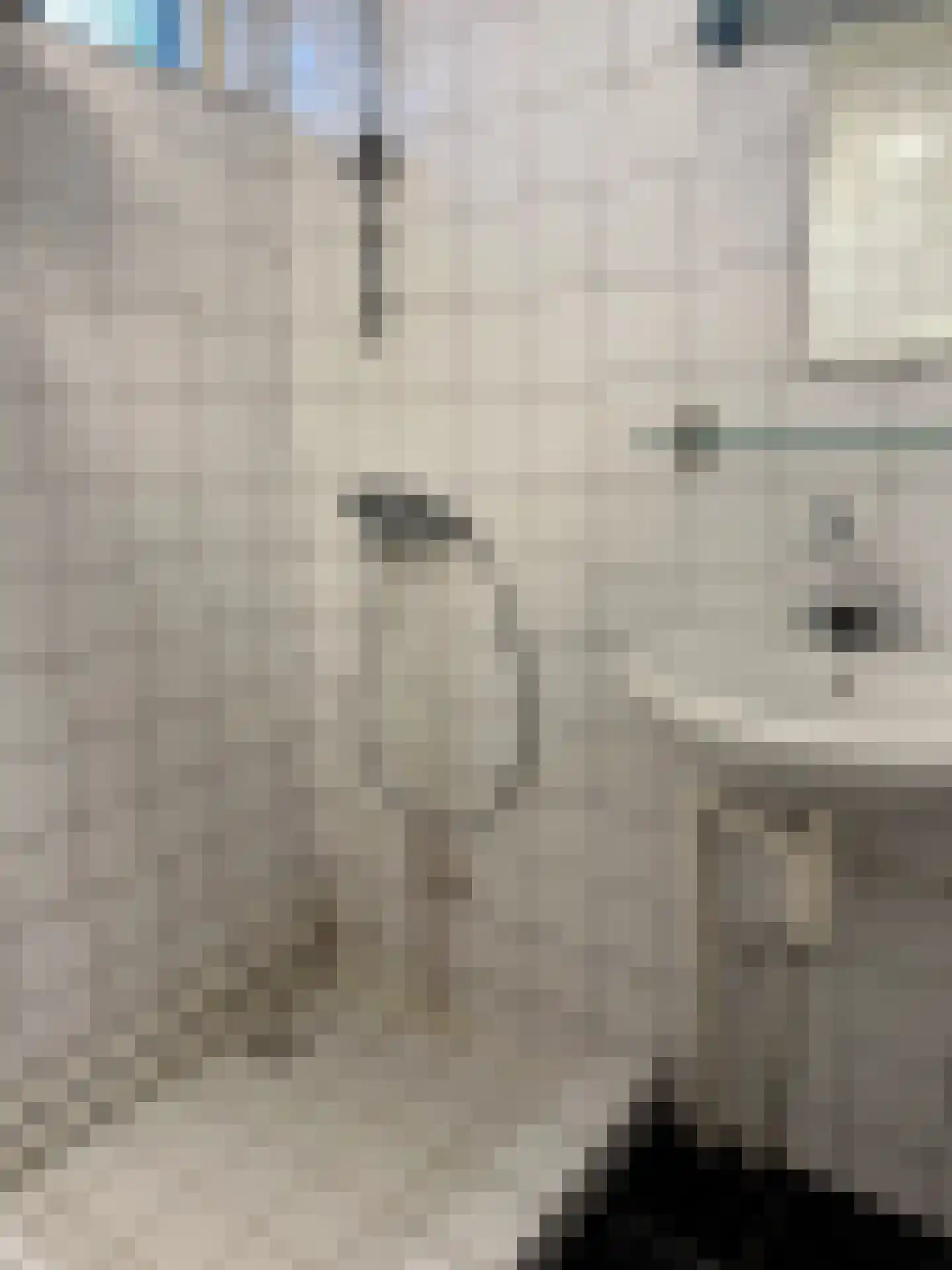 Houtvester Jansenweg 2 90 Gasselte thumbnail 14