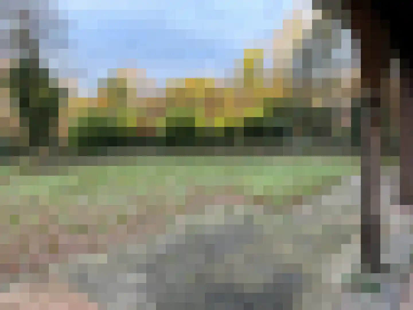 Houtvester Jansenweg 2 90 Gasselte thumbnail 17
