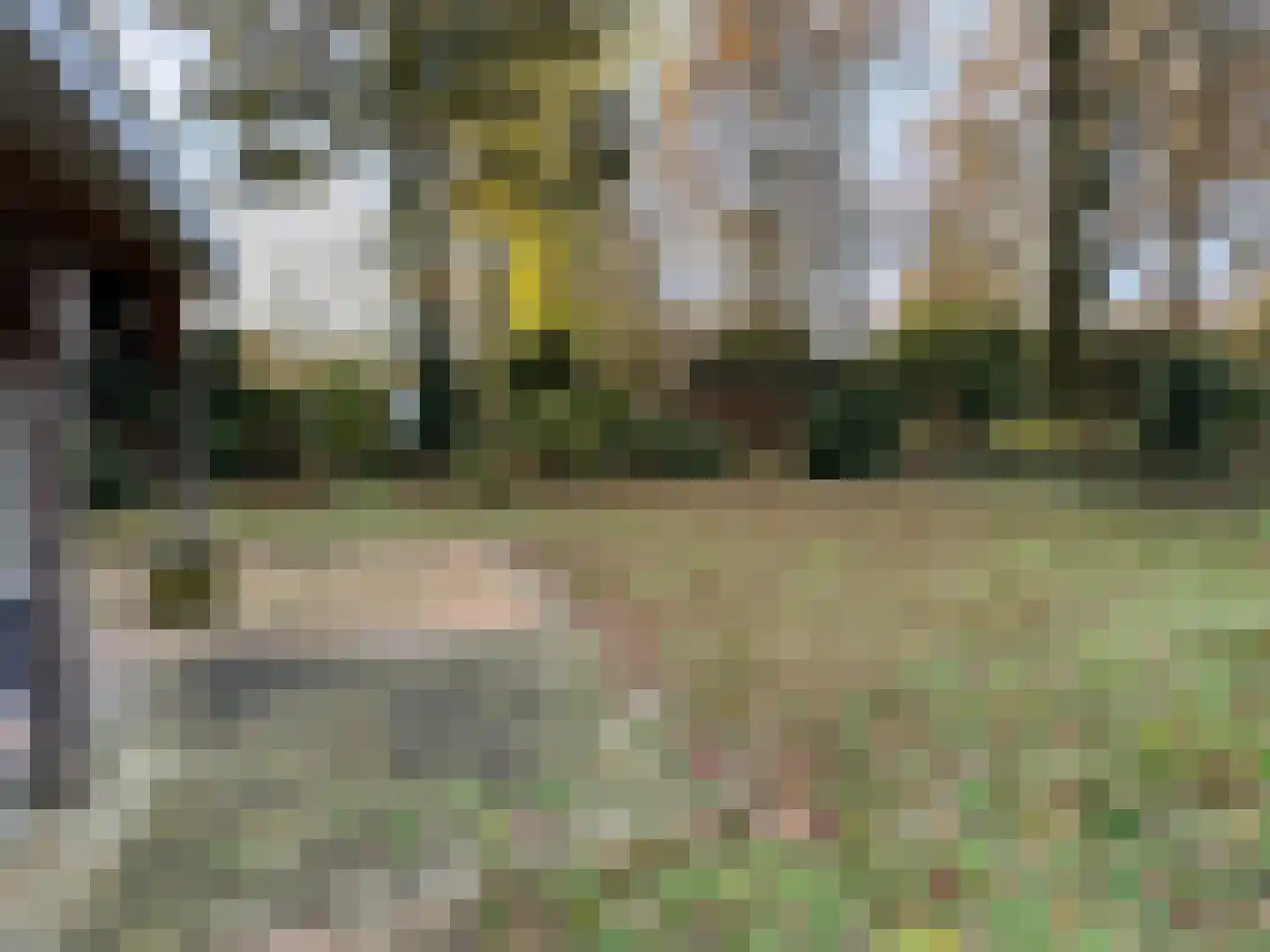 Houtvester Jansenweg 2 90 Gasselte thumbnail 18