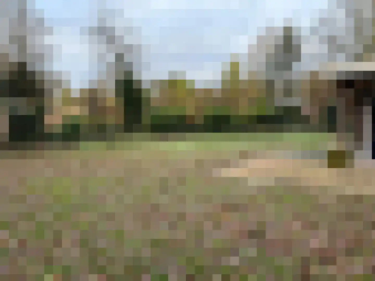 Houtvester Jansenweg 2 90 Gasselte thumbnail 22