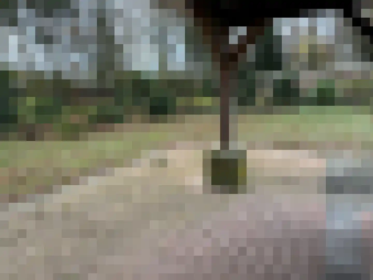 Houtvester Jansenweg 2 90 Gasselte thumbnail 24